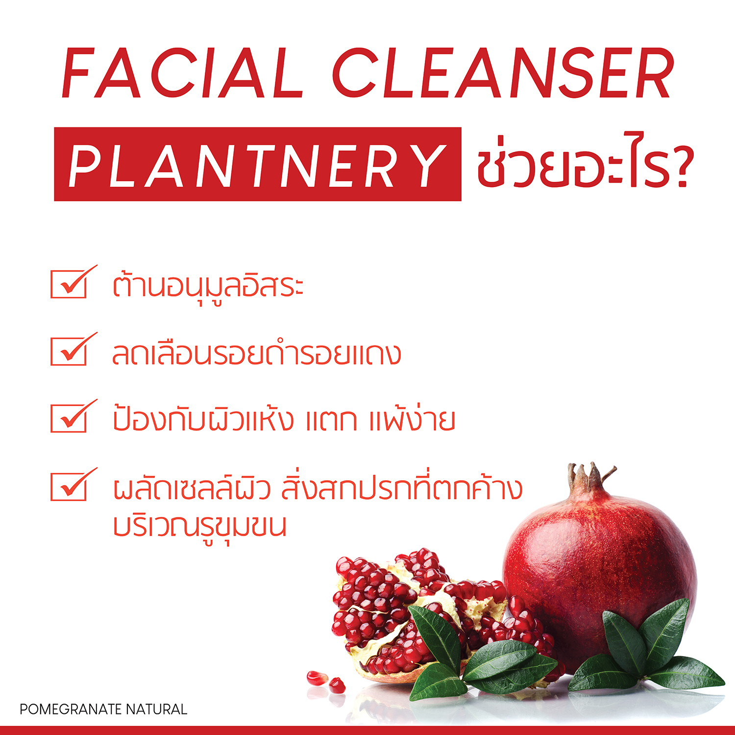 Plantnery Pomegranate Facial Cleanser 250ml แพลนท์เนอรี่ เจลล้างหน้า จากสารสกัดทับทิม ลดจุดด่างดำ